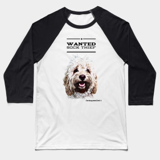 Cockapoo / Doodle Dog Sock Thief Baseball T-Shirt